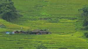 Lao Chai: The Peaceful Muse Enchanting Travelers in Sapa - image 1