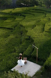 Lao Chai: The Peaceful Muse Enchanting Travelers in Sapa - image 0