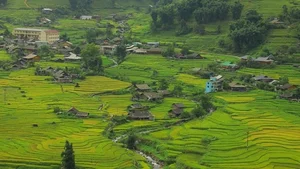Lao Chai: The Peaceful Muse Enchanting Travelers in Sapa - image 6