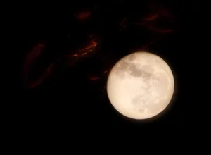 Spectacular Views of the Final Supermoon of 2023 Over Hanoi's Skyline - image 5