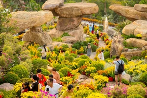 Dismantling a Famous Tourist Resort in Phu Quoc: A Shift Towards Sustainable Tourism - image 7
