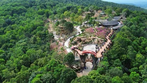 Dismantling a Famous Tourist Resort in Phu Quoc: A Shift Towards Sustainable Tourism - image 5