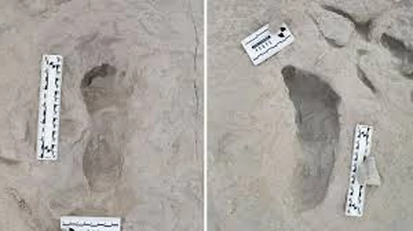 Ancient Discoveries: 1.5 Million-Year-Old Footprints Reveal Secrets of Early Human Ancestors