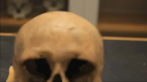New Viking Discoveries in Norway: Archeological Breakthroughs Shed Light on Norse History - image 2