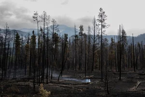 Devastating Wildfires Impact Popular Tourist Towns: A Visual Report - image 9