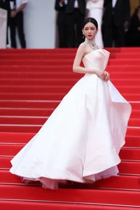 Davika Hoorne Stuns in Sheer Gown at the Cannes Film Festival Red Carpet - image 1