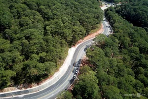 Opening of 3km Prenn Pass Section Eases Travel to Da Lat - image 8