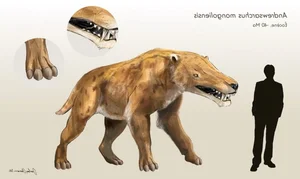 The Terrifying Power of the Largest Predator Ever to Walk the Earth - image 7