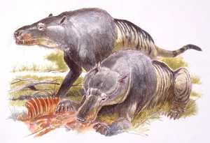 The Terrifying Power of the Largest Predator Ever to Walk the Earth - image 5