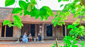 Inside Vietnam’s Most Beautiful 200-Year-Old Ancient House and Its Architectural Marvels - image 4
