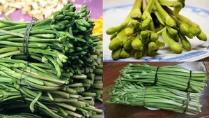 From Countryside to City: Why Rustic Vegetables Are Selling Out Rapidly - image 7