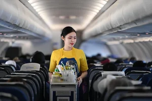 Where Is Phan Que Chi Now? The Life of Vietnam's Famous Flight Attendant - image 3