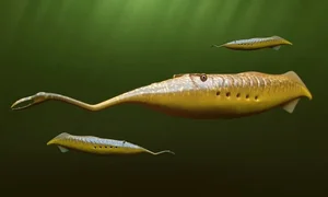 Uncovering the Most Mysterious and Bizarre Fossilized Creatures Ever Found - image 8