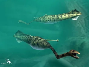 Uncovering the Most Mysterious and Bizarre Fossilized Creatures Ever Found - image 7