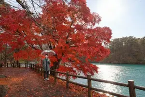 Fukushima: Immerse in Japan's Golden Autumn Splendor, Wander Through Enchanting Fall Landscapes - image 1