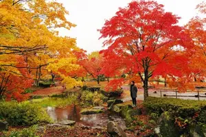 Fukushima: Immerse in Japan's Golden Autumn Splendor, Wander Through Enchanting Fall Landscapes - image 4