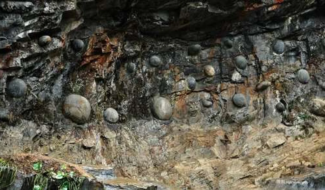 The Science Behind China's Strange Egg-Laying Cliff of Chan Da Ya