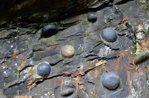The Science Behind China's Strange Egg-Laying Cliff of Chan Da Ya - image 5