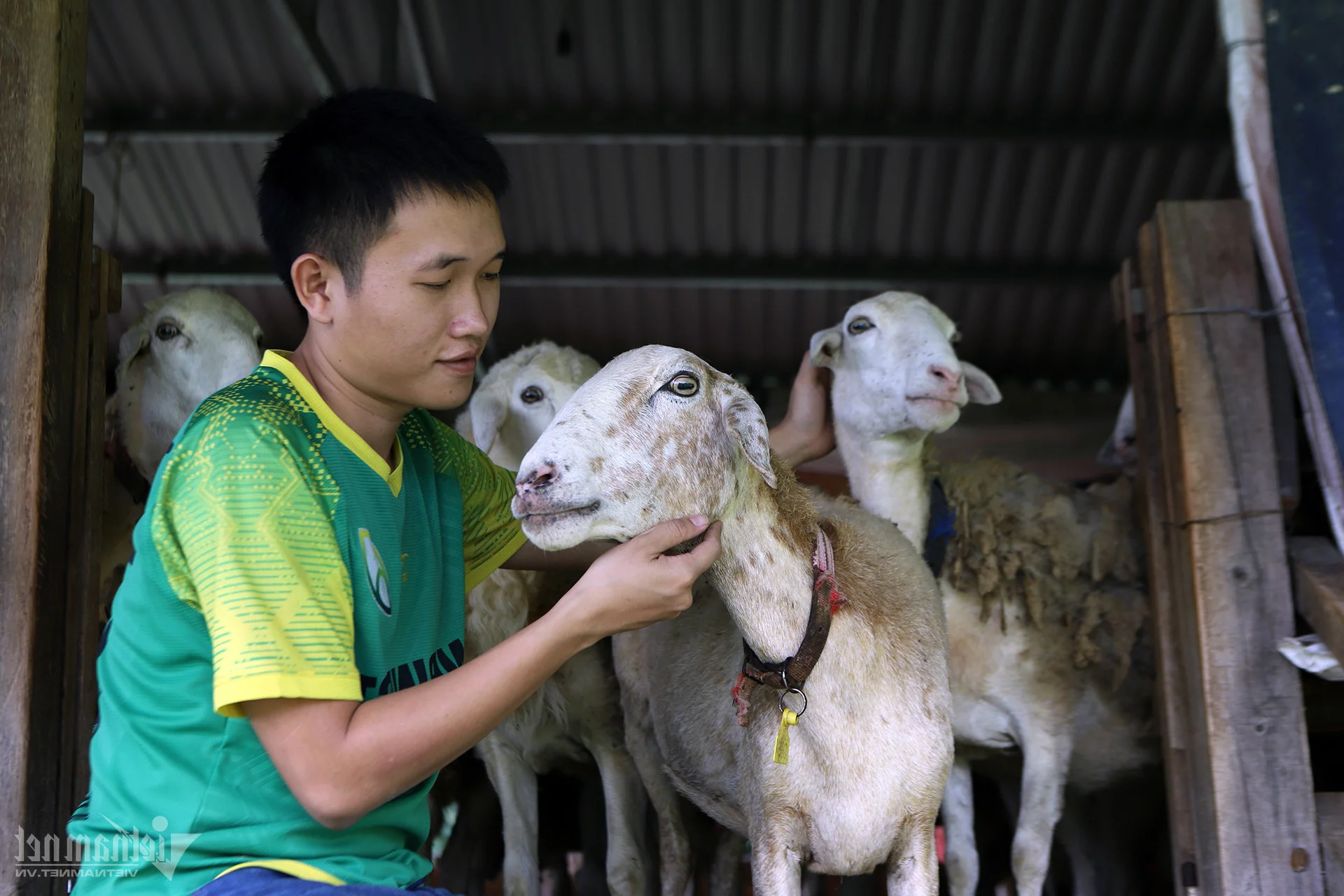 From Arid Land to Green Paradise: The Success of The Moshav Farm’s Sustainable Agriculture