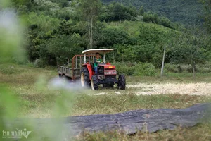 From Arid Land to Green Paradise: The Success of The Moshav Farm’s Sustainable Agriculture - image 5