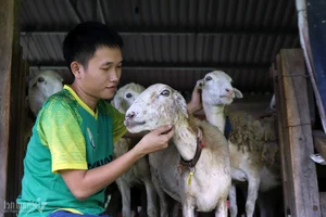 From Arid Land to Green Paradise: The Success of The Moshav Farm’s Sustainable Agriculture - image 0