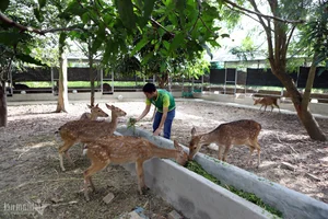 From Arid Land to Green Paradise: The Success of The Moshav Farm’s Sustainable Agriculture - image 3