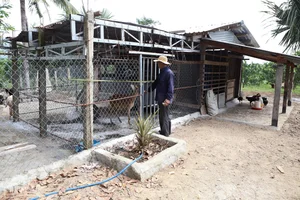 From Arid Land to Green Paradise: The Success of The Moshav Farm’s Sustainable Agriculture - image 2