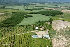 From Arid Land to Green Paradise: The Success of The Moshav Farm’s Sustainable Agriculture - image 4