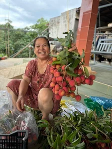 The Extraordinary Ancient Lychee Tree of D'ran Mountain Hamlet - image 1