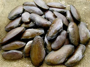 From 'Cheap' to 'Royal': The Rising Value of Traditional Delicacies - image 3