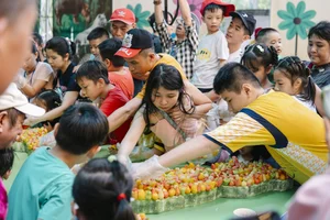 Hue Royal Cakes Set Vietnam Record: A Culinary Masterpiece from the Imperial City - image 4