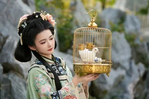 Creative Visuals: YiTuYu Art Language Vol.6523 - Yi Da Kuai Dan Gao - image 10