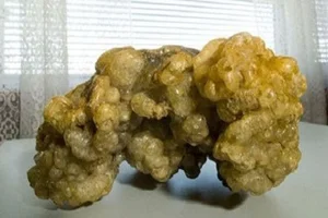 Lucky Beachcomber Strikes Gold with Rare Ambergris Discovery - image 71