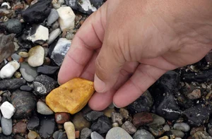 Lucky Beachcomber Strikes Gold with Rare Ambergris Discovery - image 20