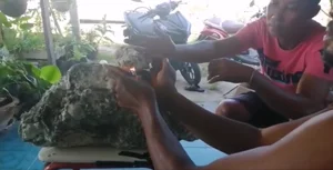 Lucky Beachcomber Strikes Gold with Rare Ambergris Discovery - image 79