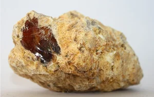 Lucky Beachcomber Strikes Gold with Rare Ambergris Discovery - image 45
