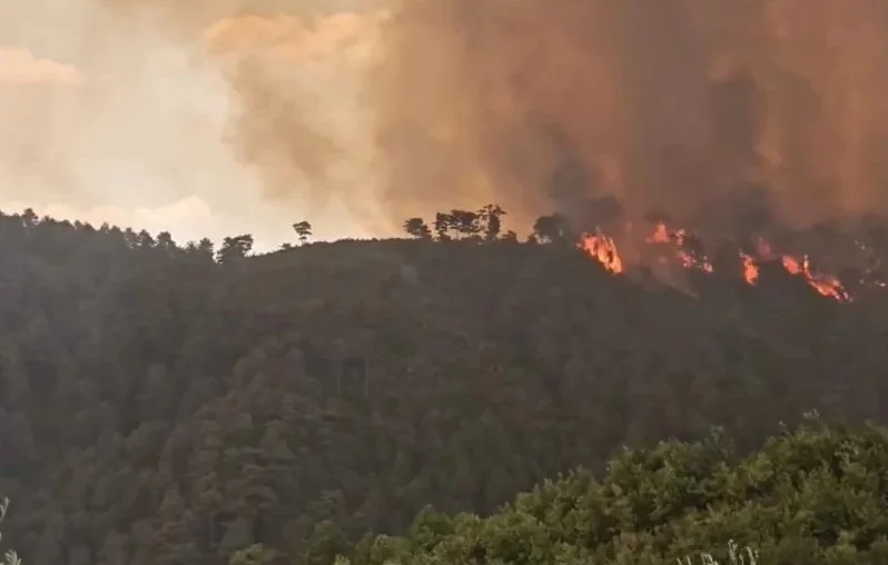A Visual Report: The Devastating Impact of Wildfires Across Europe During Recent Heatwaves