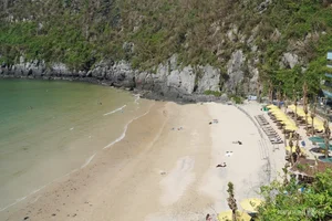 Cat Ba Island Welcomes Tourists Back After Typhoon Yagi Recovery - image 3
