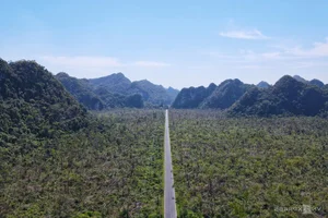 Cat Ba Island Welcomes Tourists Back After Typhoon Yagi Recovery - image 9