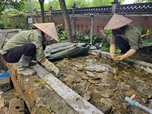 The Art of Turning Sacred Bodhi Leaves into Valuable Masterpieces - image 3