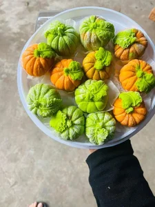 Modern Twist on Tet Han Thuc: Creative Glutinous Rice Balls - image 5