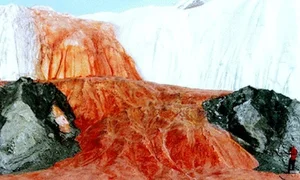 Solved: The Fascinating Explanations Behind Three of History's Greatest Unsolved Mysteries - image 3