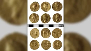 Metal Detectorist Discovers Rare Historical Treasure Worth $270,000 - image 7