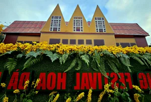 Vibrant Street Carnival in Da Lat: Celebrating the Flowers and Heritage Festival - image 1