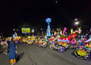 Vibrant Street Carnival in Da Lat: Celebrating the Flowers and Heritage Festival - image 5