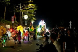 Vibrant Street Carnival in Da Lat: Celebrating the Flowers and Heritage Festival - image 6