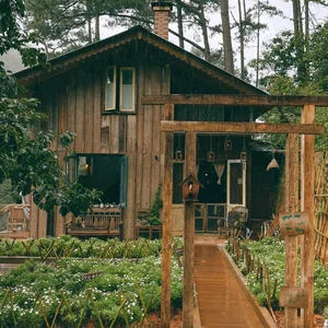 What to Eat and Do in Da Lat on a Rainy Day - image 1