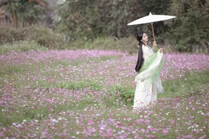 Discover YiTuYu Art Language Vol.6393 with Jin Zou Ba: Modern Elegance and Style - image 24