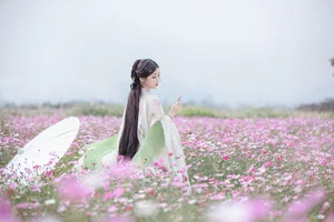 Discover YiTuYu Art Language Vol.6393 with Jin Zou Ba: Modern Elegance and Style - image 0