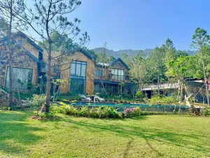Thu Quynh Reveals Baby Gender and Inside Trong Tan’s Stunning Wooden Hillside Villa - image 6